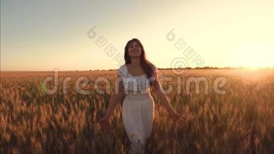 笑的女孩在<strong>金色</strong>的<strong>阳光下</strong>带着小麦走在田野上。 慢动作